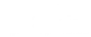 Logo-Box-Solution-web-2024
